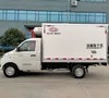 Foton Small Refrigerated Trucks for Delivering Fruits Vegetables Meat and Seafood