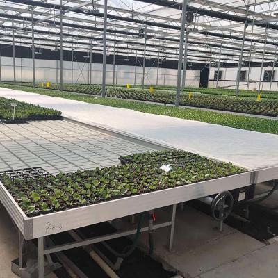 Nursery Seedbed 4x8 Flood Trays Tables Movable Rolling Bench Greenhouse Table System Cultivation