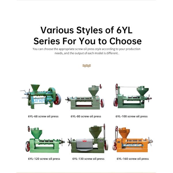KG Industrial Oil Extractor High Oil Yield Cold Pressed Rosehip Oil Press Automatic Moringa Oil Pressers Pressing Machine