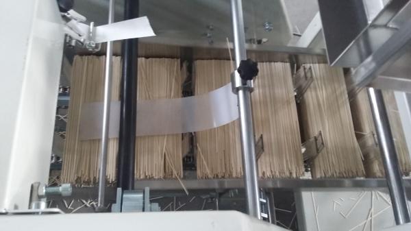 Single Belt Strapping Pillow Pouch Packaging Machine