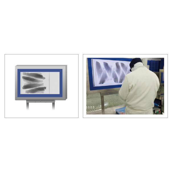 Auto conveyor X Ray inspetion detector 4080F for Food, Fish Bones inspection