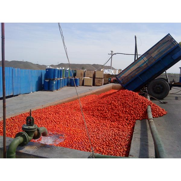 Equipo de proceso vegetal de la pulpa de la fruta de la concentración 10tons/Hour