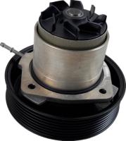 95810603303 Partes del motor Bomba de agua