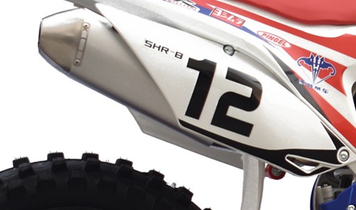 Trendy  Four Stroke 250cc Modern Enduro Motorcycles Off Road Enduro Bikes