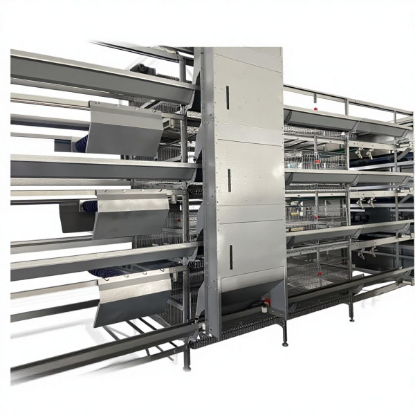 Modular H Type Chicken Egg Layer Cage with Hot-dipped Galvanization and Automatic Feeding System