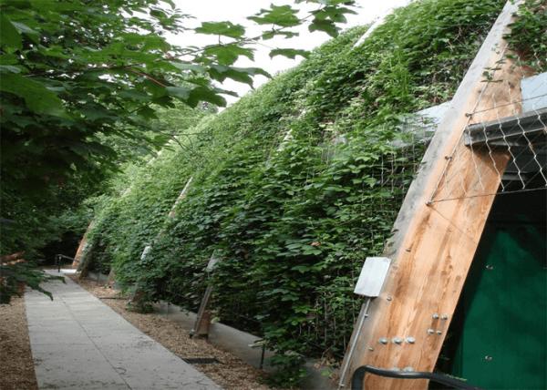 Diamond Vegetable Plant Supporting Net Protection Ferruled Ultrasonic Bath