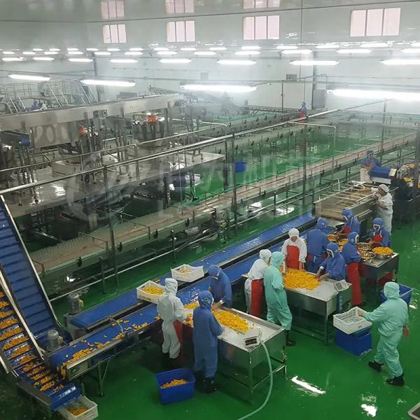 Automatic Stainless Steel Fruit Canning Pineapple Canning Food Can Production Line
