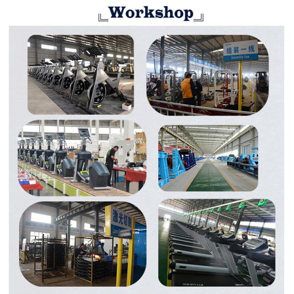 Система электромагнитного воздействия Рекумбент велосипеда спортзала железного каркаса самопроизвольно