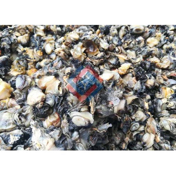 Коммерчески оборудование чистки продукта моря нержавеющей стали машины обработки 304 рыб