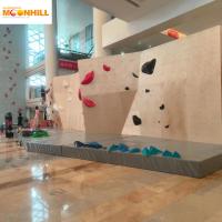 Adultos y niños escalada de roca sostiene escalada de pared para el gimnasio de escalada de pared