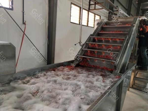 SUS304 Automatic Tomato Paste Processing Production Line One Stop Service