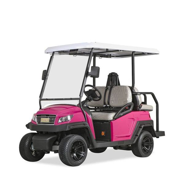 Fuel Type Electric Golf Car 350AH 3.7W Aluminium Electric Hunting Carts Framework Purple