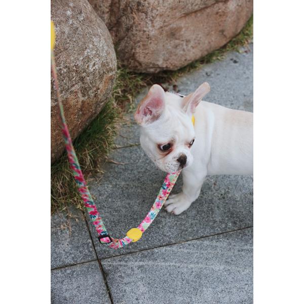 7.62m 25 Foot Nylon Anti Pull Dog Leash Around Chest Mouth Waist