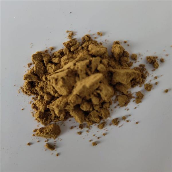 Medicine Grade Detoxification Hedyotis Diffusa Willd Extract