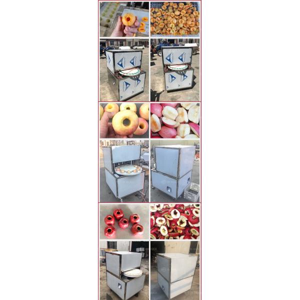 Best Dry Dates Pitting Machine 150 KG Cherry Seed Remover Olive Core Removing Machine