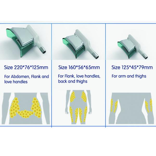 CE / FDA approved safety 5 cryo handle fat freezing cryolipolysis weight loss slimmming beauty mcahine