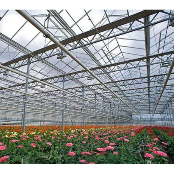 4mm tempered greenhouse glass