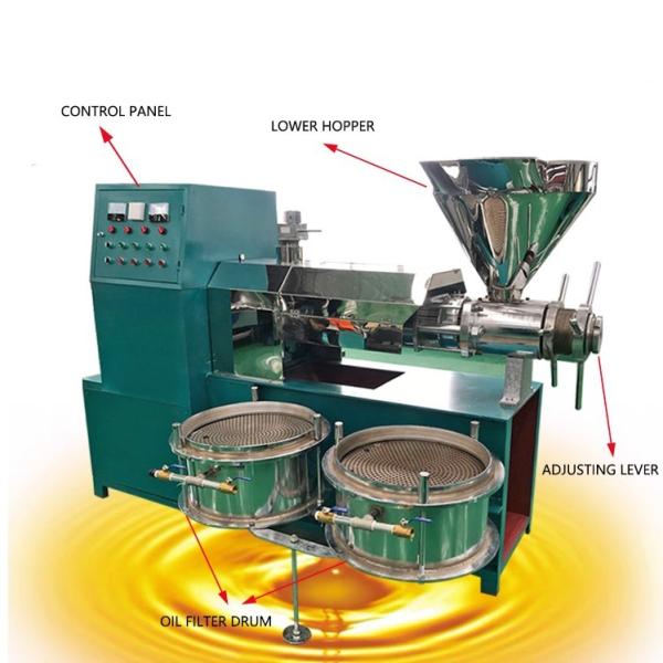 High Efficiency Sesame Oil Expeller /new type Sesame Oil Press Machine