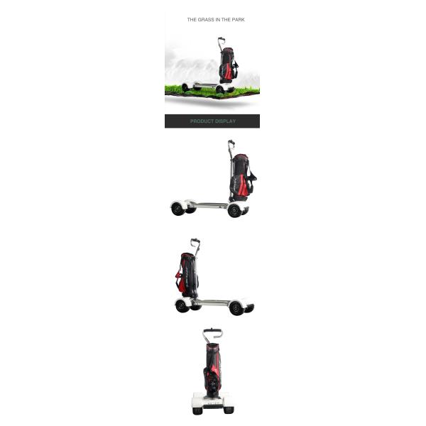 Brushless Motor 60KM Golf Electric Skateboard 1000W 60V 20.8AH 10.5 Inch