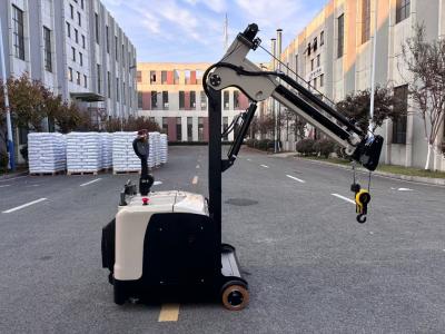 300 KG Lifting Capacity Non Standard Electric Crane Arm Counter Balance Forklift  Truck  Lifting Height 3000 MM