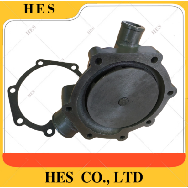 1000054021 WATER PUMP WP6