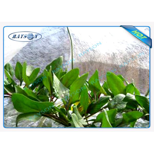Сверхмощная ткань для крышки дерева, ткань 22GSM ландшафта PP Spunbond Non сплетенная