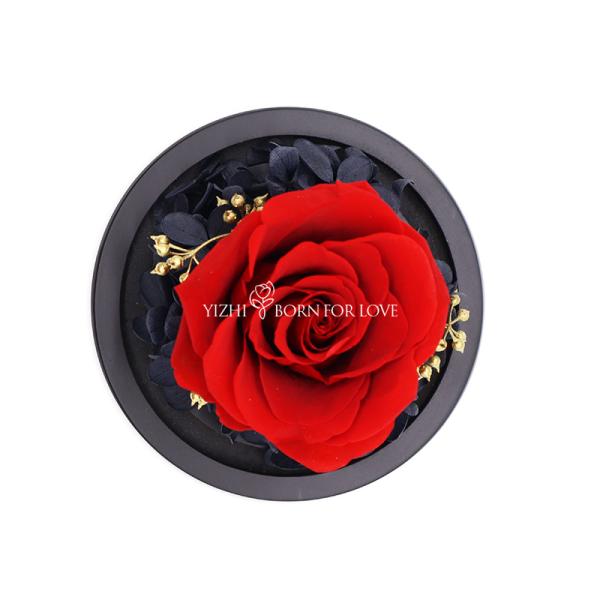 Beautiful Colorful Gifts Preserved Flower Glass Dome Indor Decoration