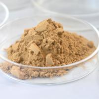 Besthway Neutral Protease Industrial Enzyme Powder ISO22000