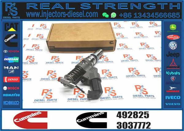 Diesel Engine Parts 3411754 3411755 492825 4928517 Diesel Fuel Injector for CUMMINS Diesel Engine