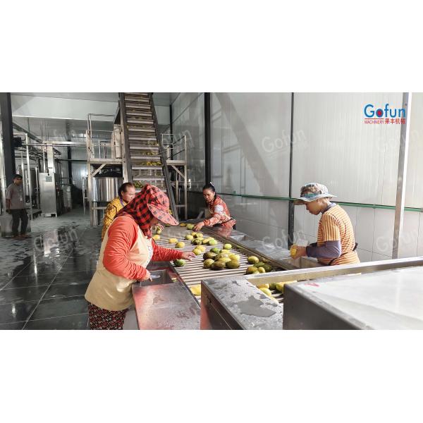 Mango Processing Line with Retains Fresh Fruit Flavor Low-Temperature Vacuum Concentration and Oversea Technical Support