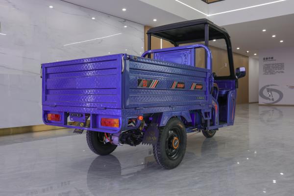 1.6m Passenger Long Endurance Sunroof Transport Cargo Tricycle Electric
