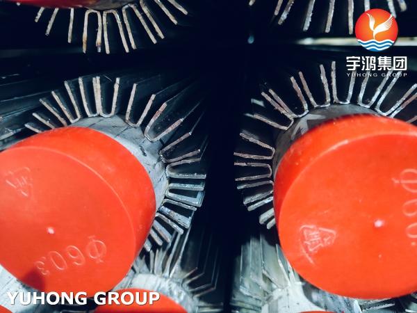 ASTM A213 TP316L 油化工用長向溶接型フィニングチューブ