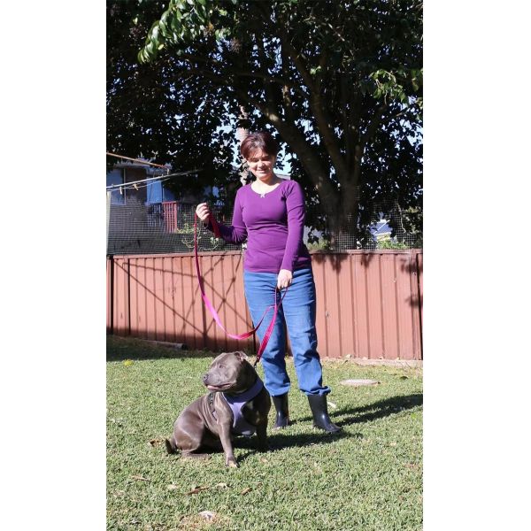 Durable Double Handle Dog Leash Reflective Pet Leash Customized Pet Leash For Large Dog