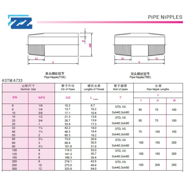 Acid Pickling Sch 80 DN6 ASTM A733 Carbon Steel Nipple