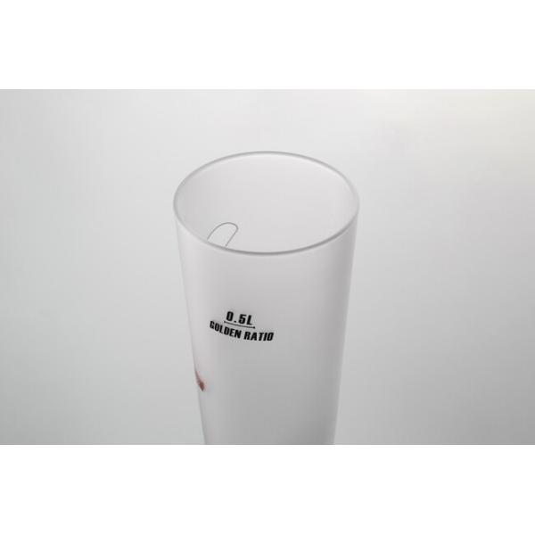 500ml Frosted Glass Drinking Cups 17.6 Ounce Hand Blown Glass Etching Beer Mugs