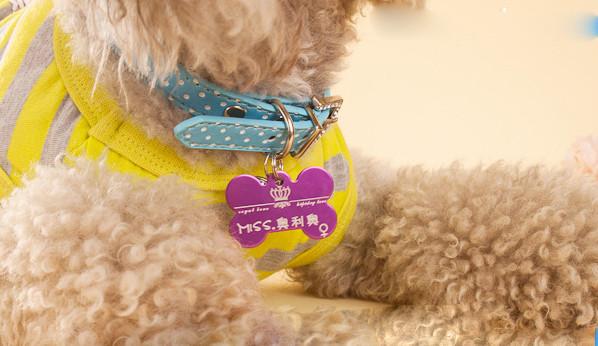 Dog tag necklace engraving machine