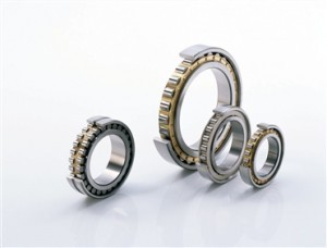 Cylindrical Roller Open / ZZ / SS Bearing for Industrial Gearbox , P0 P6 P5