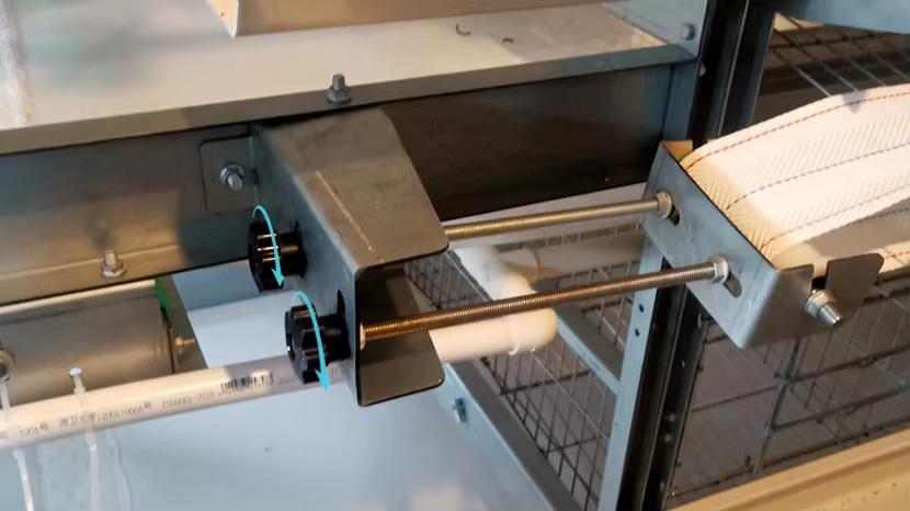 Automatic Galvanized Steel Chicken Poultry Battery Cage with Manure Removal and Customizable Finishes