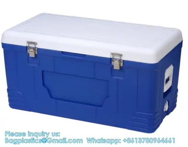 Custom Medical Organ Transport Portable Cooler Wine Beer Styrofoam Ice Chest Thermal Bag Food Large Cooler Box