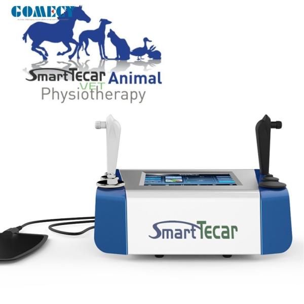 Portable High-Performance Radiofrequency Tecar Therapy Machine for Horse Sports Injuries - Advanced Physiotherapy Treatment