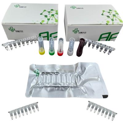 Livestock Porcine Detection Kit With African Swine Fever Virus Test Kit For Nucleic Acid Detection