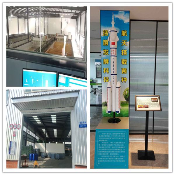 Feed Additive Raw Materials Methionine Chelated Iron for Livestocks and Poultry