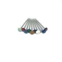 Le chef de plastique d'écurie UV de l'acier inoxydable A4 cloue la tête PA6 en nylon