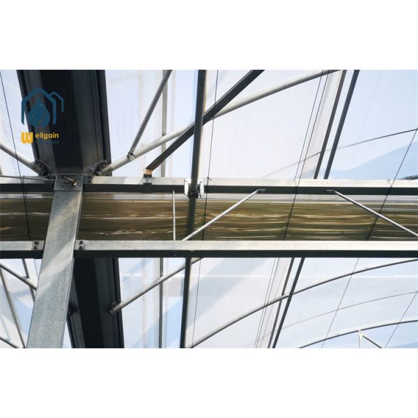 Dual Internal and External Shading Multi Span Greenhouse for Light Sensitive Crops...