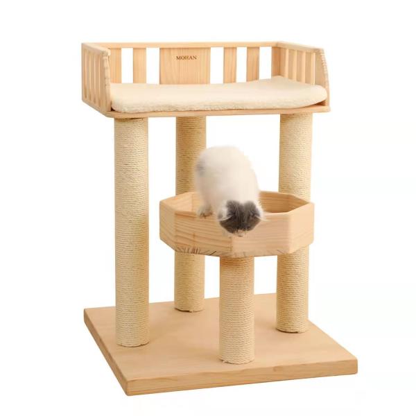 Кожа рамки отделяемого современного кота дерева кота взбираясь дружелюбная