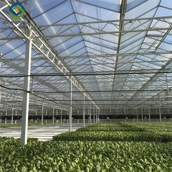 Galvanized Frame Multi Span Greenhouse With Hydroponic Growing Systems