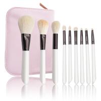 Grupo de escova multifuncional 19*4cm da composição do cabelo da cabra 10PCS