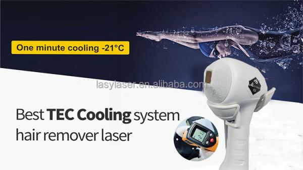 755nm 1064nm Portable DPL Laser Hair Removal Diode RF Skin Tightening Device