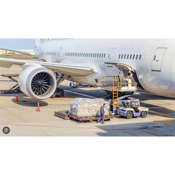 Chemical Industry's Best Choice 6406 Original Open Deep Groove Ball Bearings