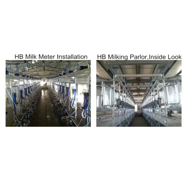 Dairy Cow Milking Parlor Equipment with Herringbone Layout Automatic Cup Remover and ISO Specification Mobile Milking Machine